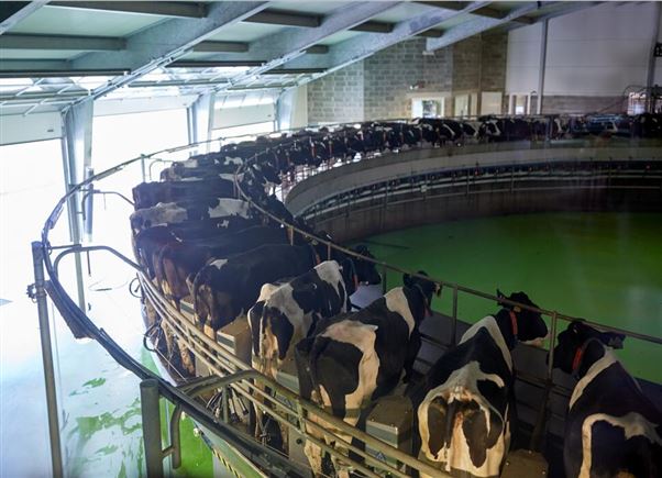 中土農(nóng)業(yè)指導(dǎo)委員會(huì)第三次會(huì)議在京召開(kāi)