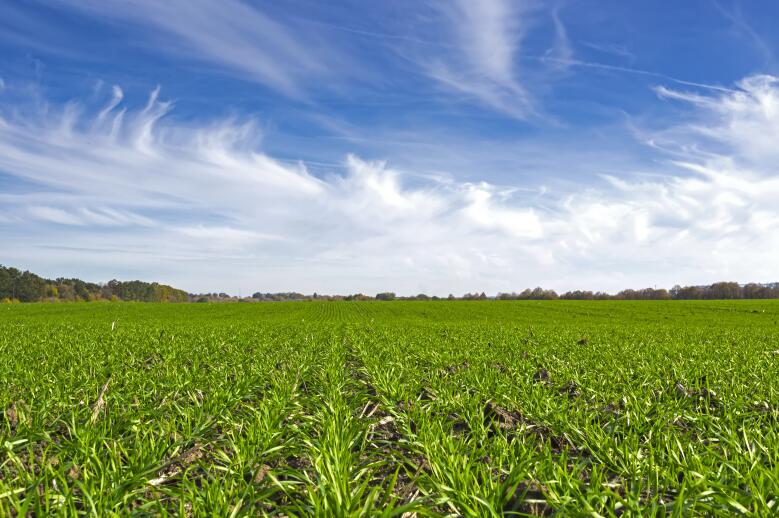 海南省2024-2026年农机补贴额一览表(2025年修订)