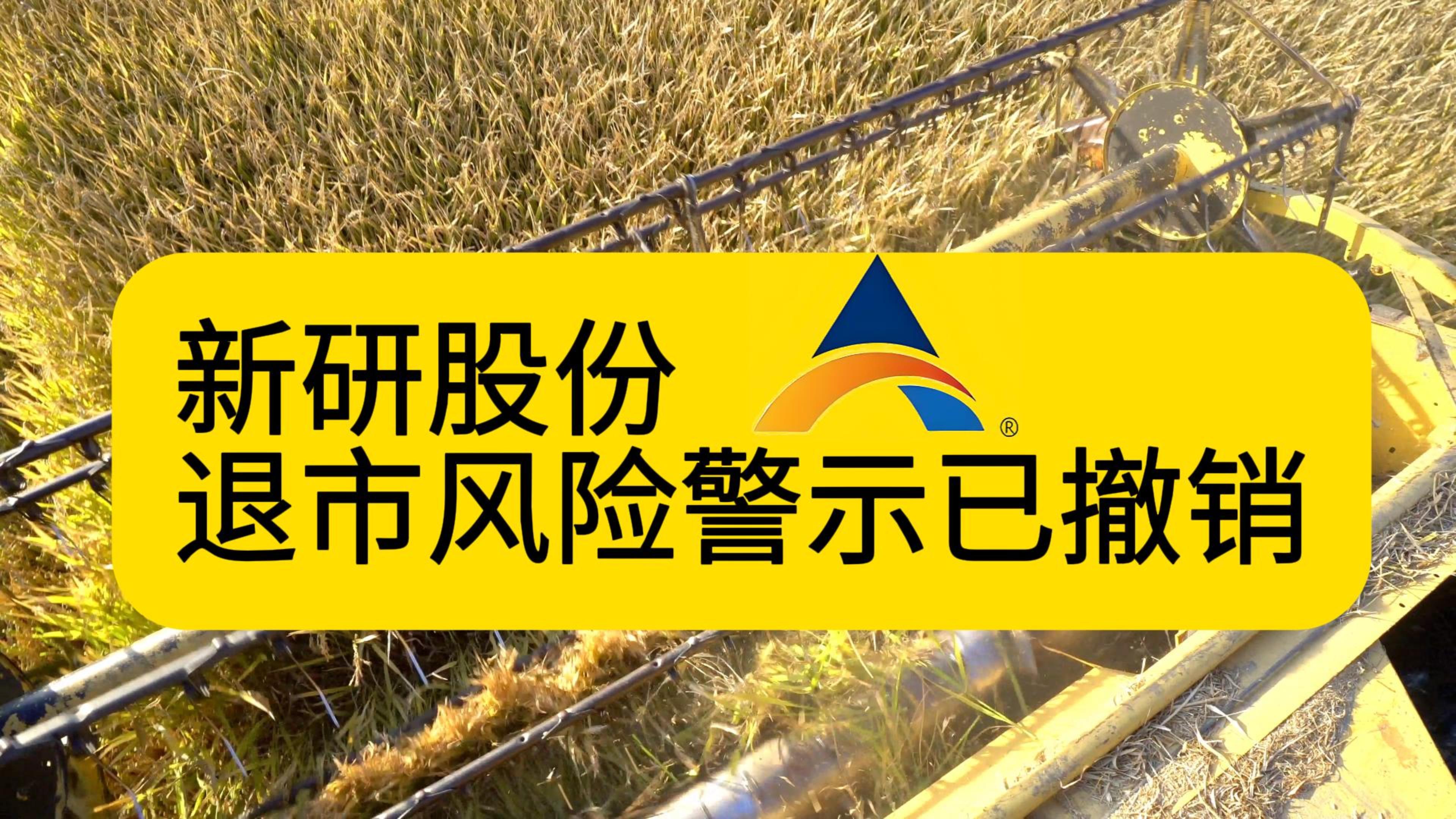 重裝上陣！新研股份退市風險警示已撤銷