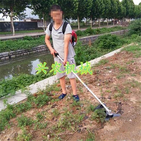 大棚背负式除草机价格 果园旋耕松土机